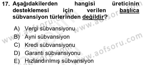 Kamu Ekonomisi 1 Dersi 2015 - 2016 Yılı Tek Ders Sınav Soruları 17. Soru