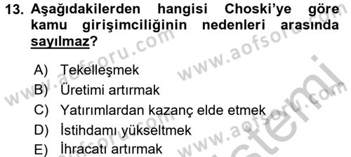 Kamu Ekonomisi 1 Dersi 2016 - 2017 Yılı 3 Ders Sınav Soruları 13. Soru