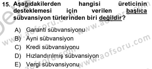 Kamu Ekonomisi 1 Dersi 2016 - 2017 Yılı 3 Ders Sınav Soruları 15. Soru
