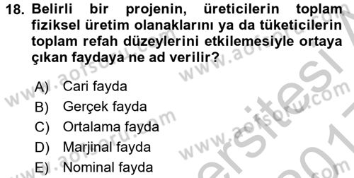Kamu Ekonomisi 1 Dersi 2016 - 2017 Yılı 3 Ders Sınav Soruları 18. Soru