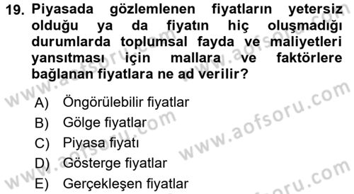 Kamu Ekonomisi 1 Dersi 2016 - 2017 Yılı 3 Ders Sınav Soruları 19. Soru