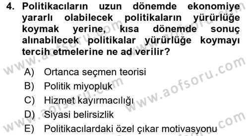 Kamu Ekonomisi 1 Dersi 2016 - 2017 Yılı 3 Ders Sınav Soruları 4. Soru