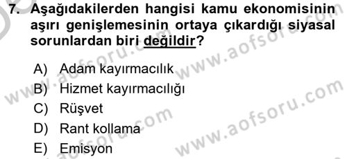 Kamu Ekonomisi 1 Dersi 2016 - 2017 Yılı 3 Ders Sınav Soruları 7. Soru