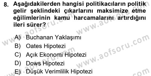 Kamu Ekonomisi 1 Dersi 2016 - 2017 Yılı 3 Ders Sınav Soruları 8. Soru