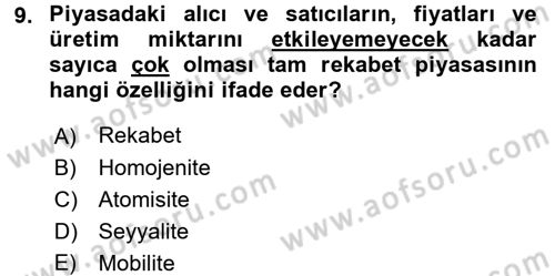 Kamu Ekonomisi 1 Dersi 2016 - 2017 Yılı 3 Ders Sınav Soruları 9. Soru