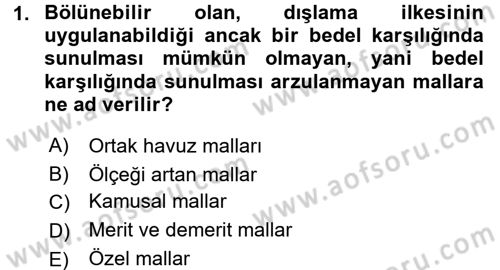 Kamu Ekonomisi 1 Dersi 2016 - 2017 Yılı (Vize) Ara Sınav Soruları 1. Soru