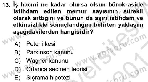 Kamu Ekonomisi 1 Dersi 2016 - 2017 Yılı (Vize) Ara Sınav Soruları 13. Soru