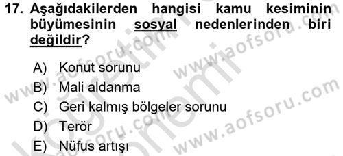 Kamu Ekonomisi 1 Dersi 2016 - 2017 Yılı (Vize) Ara Sınav Soruları 17. Soru