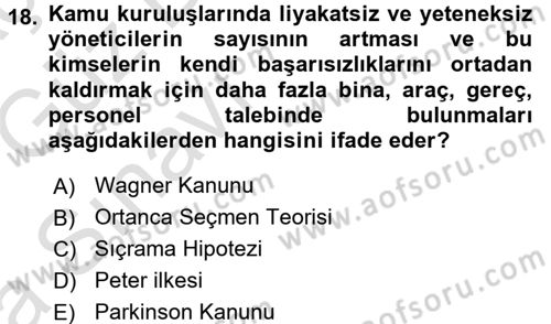 Kamu Ekonomisi 1 Dersi 2016 - 2017 Yılı (Vize) Ara Sınav Soruları 18. Soru