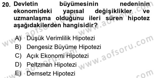 Kamu Ekonomisi 1 Dersi 2016 - 2017 Yılı (Vize) Ara Sınav Soruları 20. Soru