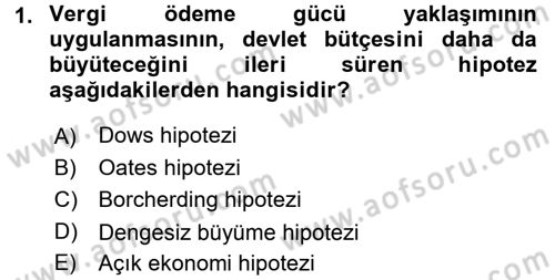 Kamu Ekonomisi 1 Dersi 2016 - 2017 Yılı (Final) Dönem Sonu Sınav Soruları 1. Soru