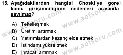 Kamu Ekonomisi 1 Dersi 2017 - 2018 Yılı 3 Ders Sınav Soruları 15. Soru