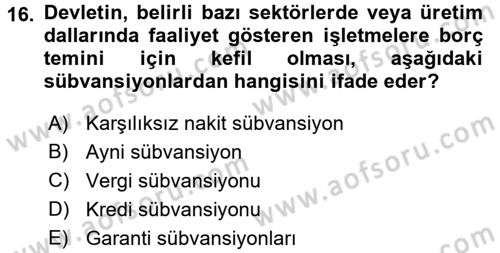 Kamu Ekonomisi 1 Dersi 2017 - 2018 Yılı 3 Ders Sınav Soruları 16. Soru