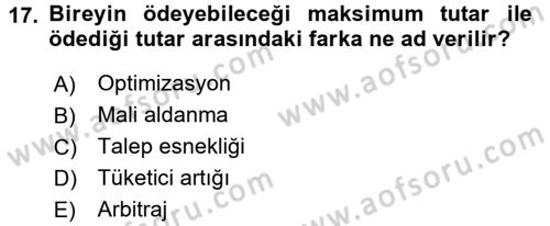 Kamu Ekonomisi 1 Dersi 2017 - 2018 Yılı 3 Ders Sınav Soruları 17. Soru