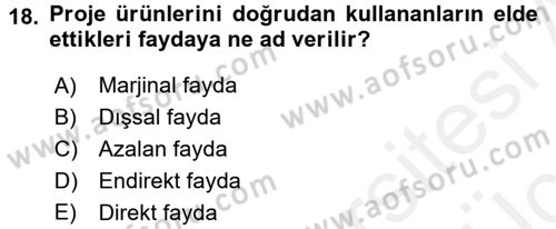 Kamu Ekonomisi 1 Dersi 2017 - 2018 Yılı 3 Ders Sınav Soruları 18. Soru