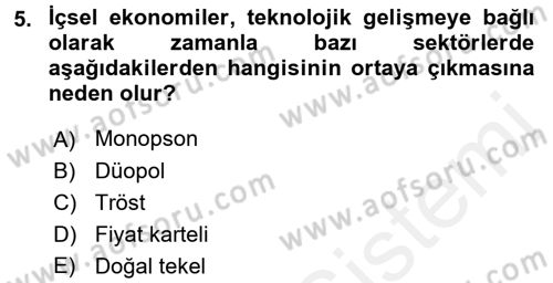 Kamu Ekonomisi 1 Dersi 2017 - 2018 Yılı 3 Ders Sınav Soruları 5. Soru