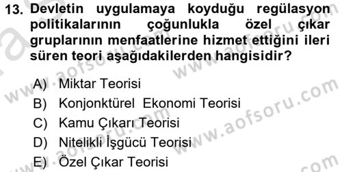 Kamu Ekonomisi 1 Dersi 2017 - 2018 Yılı (Vize) Ara Sınav Soruları 13. Soru