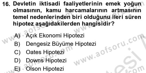 Kamu Ekonomisi 1 Dersi 2017 - 2018 Yılı (Vize) Ara Sınav Soruları 16. Soru