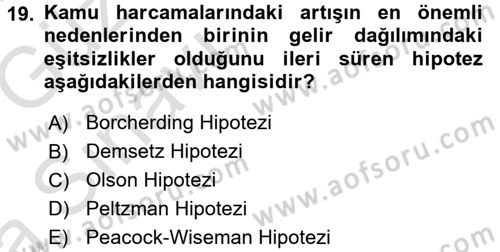 Kamu Ekonomisi 1 Dersi 2017 - 2018 Yılı (Vize) Ara Sınav Soruları 19. Soru
