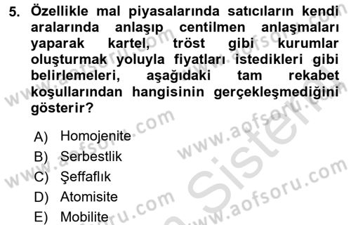 Kamu Ekonomisi 1 Dersi 2017 - 2018 Yılı (Vize) Ara Sınav Soruları 5. Soru