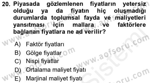 Kamu Ekonomisi 1 Dersi 2017 - 2018 Yılı (Final) Dönem Sonu Sınav Soruları 20. Soru
