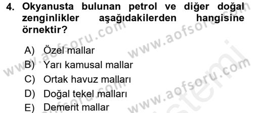 Kamu Ekonomisi 1 Dersi 2017 - 2018 Yılı (Final) Dönem Sonu Sınav Soruları 4. Soru