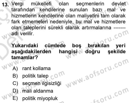 Kamu Ekonomisi 1 Dersi 2018 - 2019 Yılı 3 Ders Sınav Soruları 13. Soru