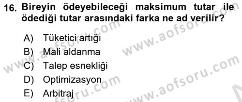 Kamu Ekonomisi 1 Dersi 2018 - 2019 Yılı 3 Ders Sınav Soruları 16. Soru