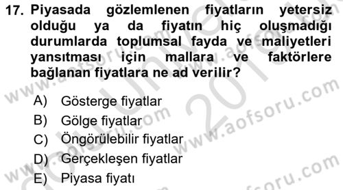Kamu Ekonomisi 1 Dersi 2018 - 2019 Yılı 3 Ders Sınav Soruları 17. Soru