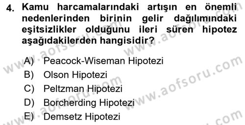 Kamu Ekonomisi 1 Dersi 2018 - 2019 Yılı 3 Ders Sınav Soruları 4. Soru