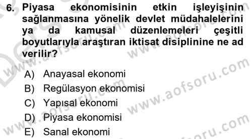 Kamu Ekonomisi 1 Dersi 2018 - 2019 Yılı 3 Ders Sınav Soruları 6. Soru