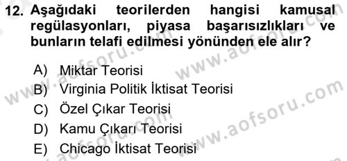 Kamu Ekonomisi 1 Dersi Ara Sınavı Deneme Sınav Soruları 12. Soru