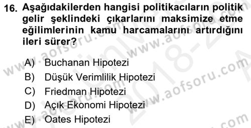 Kamu Ekonomisi 1 Dersi 2018 - 2019 Yılı (Vize) Ara Sınav Soruları 16. Soru