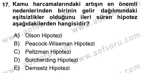 Kamu Ekonomisi 1 Dersi 2018 - 2019 Yılı (Vize) Ara Sınav Soruları 17. Soru