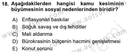 Kamu Ekonomisi 1 Dersi Ara Sınavı Deneme Sınav Soruları 18. Soru