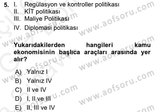 Kamu Ekonomisi 1 Dersi 2018 - 2019 Yılı (Vize) Ara Sınav Soruları 5. Soru