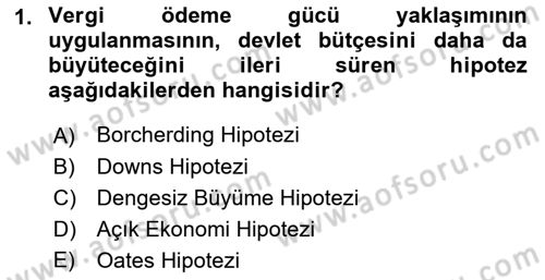 Kamu Ekonomisi 1 Dersi 2018 - 2019 Yılı (Final) Dönem Sonu Sınav Soruları 1. Soru