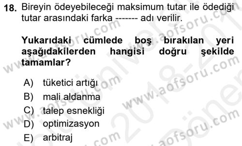 Kamu Ekonomisi 1 Dersi 2018 - 2019 Yılı (Final) Dönem Sonu Sınav Soruları 18. Soru