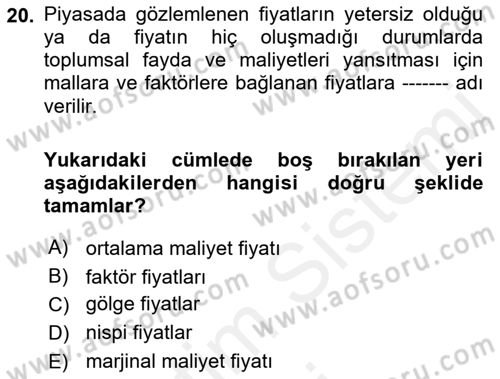 Kamu Ekonomisi 1 Dersi 2018 - 2019 Yılı (Final) Dönem Sonu Sınav Soruları 20. Soru