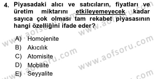 Kamu Ekonomisi 1 Dersi 2018 - 2019 Yılı (Final) Dönem Sonu Sınav Soruları 4. Soru