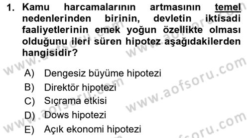 Kamu Ekonomisi 1 Dersi 2018 - 2019 Yılı Yaz Okulu Sınav Soruları 1. Soru