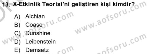 Kamu Ekonomisi 1 Dersi 2018 - 2019 Yılı Yaz Okulu Sınav Soruları 13. Soru