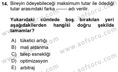 Kamu Ekonomisi 1 Dersi 2018 - 2019 Yılı Yaz Okulu Sınav Soruları 14. Soru