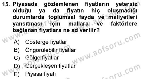 Kamu Ekonomisi 1 Dersi 2018 - 2019 Yılı Yaz Okulu Sınav Soruları 15. Soru