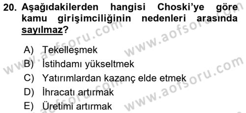 Kamu Ekonomisi 1 Dersi 2018 - 2019 Yılı Yaz Okulu Sınav Soruları 20. Soru