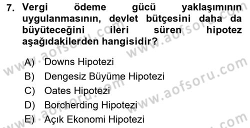 Kamu Ekonomisi 1 Dersi 2018 - 2019 Yılı Yaz Okulu Sınav Soruları 7. Soru