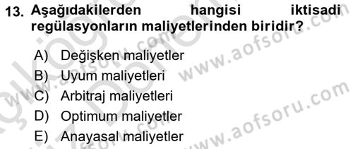 Kamu Ekonomisi 1 Dersi 2019 - 2020 Yılı (Vize) Ara Sınav Soruları 13. Soru