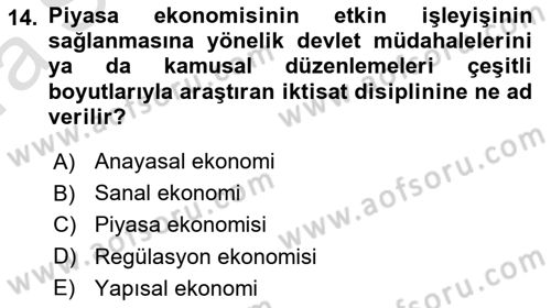 Kamu Ekonomisi 1 Dersi 2019 - 2020 Yılı (Vize) Ara Sınav Soruları 14. Soru