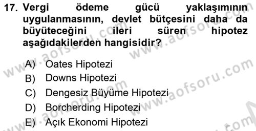 Kamu Ekonomisi 1 Dersi 2019 - 2020 Yılı (Vize) Ara Sınav Soruları 17. Soru