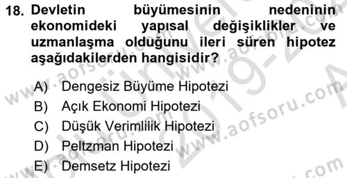 Kamu Ekonomisi 1 Dersi 2019 - 2020 Yılı (Vize) Ara Sınav Soruları 18. Soru